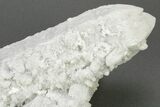 Milky, Candle Quartz Crystal Cluster - Inner Mongolia #226025-3